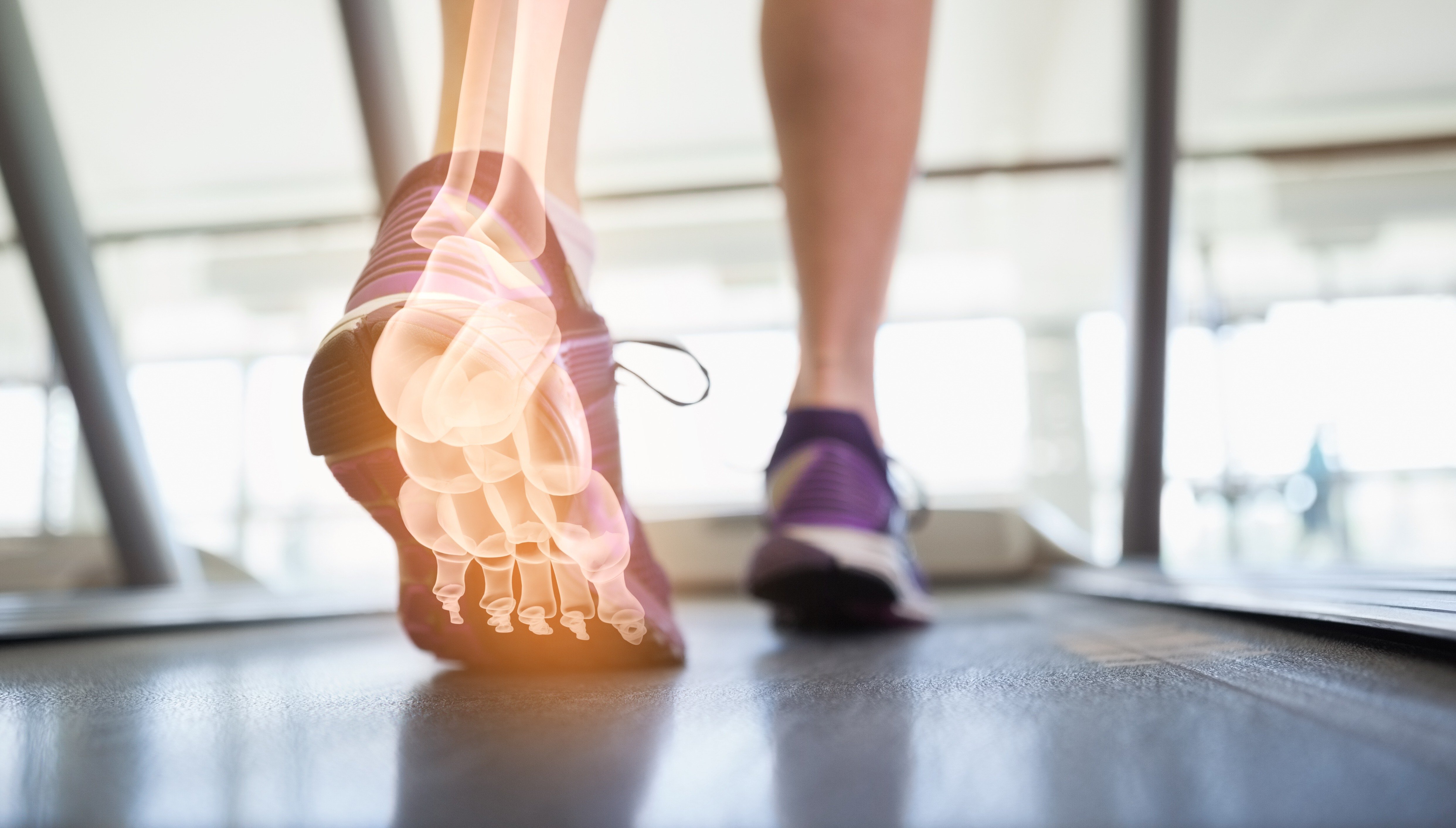 What You Need To Know About The Biomechanics Of The Foot And Ankle